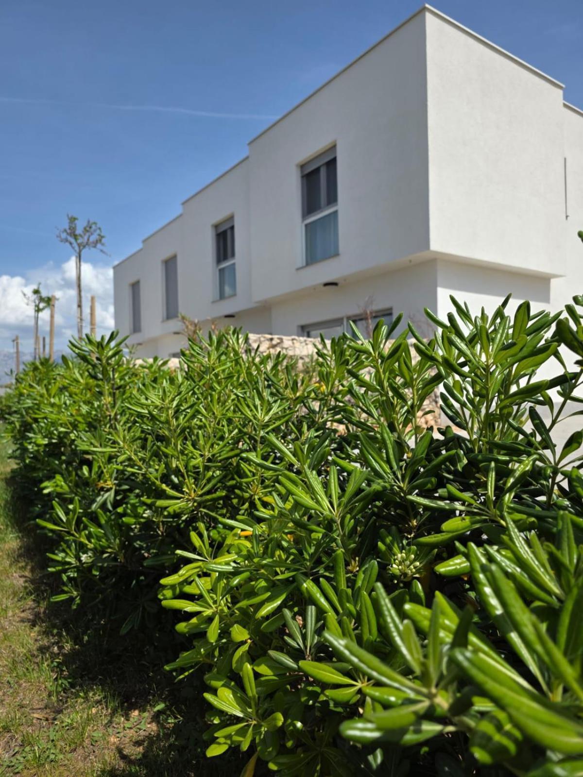 فيلا Bura House بوفليانا المظهر الخارجي الصورة